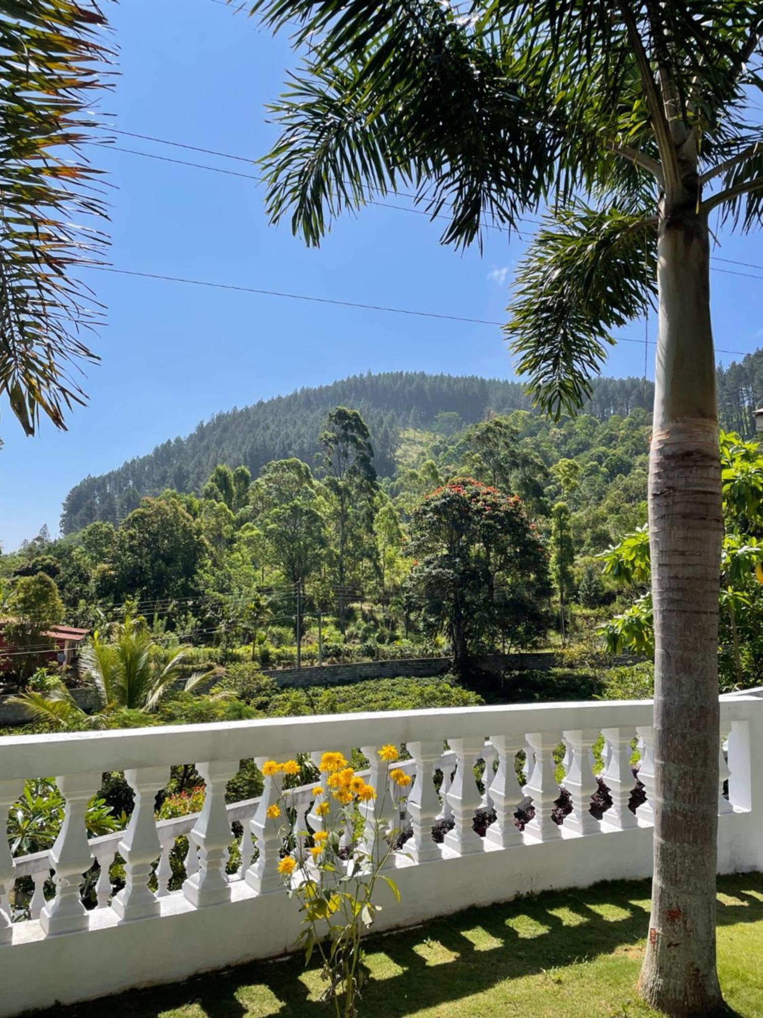 Bellwood Hills Resort & Spa Kandy Eksteriør billede